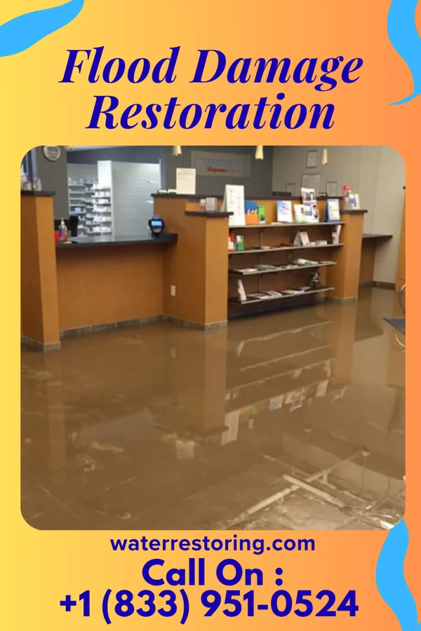 Flood Damage Restoration in Teterboro, NJ