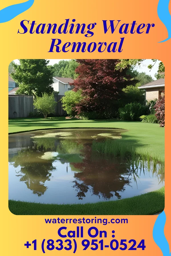 Standing Water Removal in Teterboro, NJ